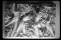 PP77, Summer Frolic 3, 11x16x4.25 inches, cast marble, 1995